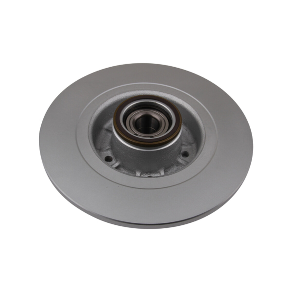 BRAKE DISC X1 WITH BRG REN LAGUNA II RR